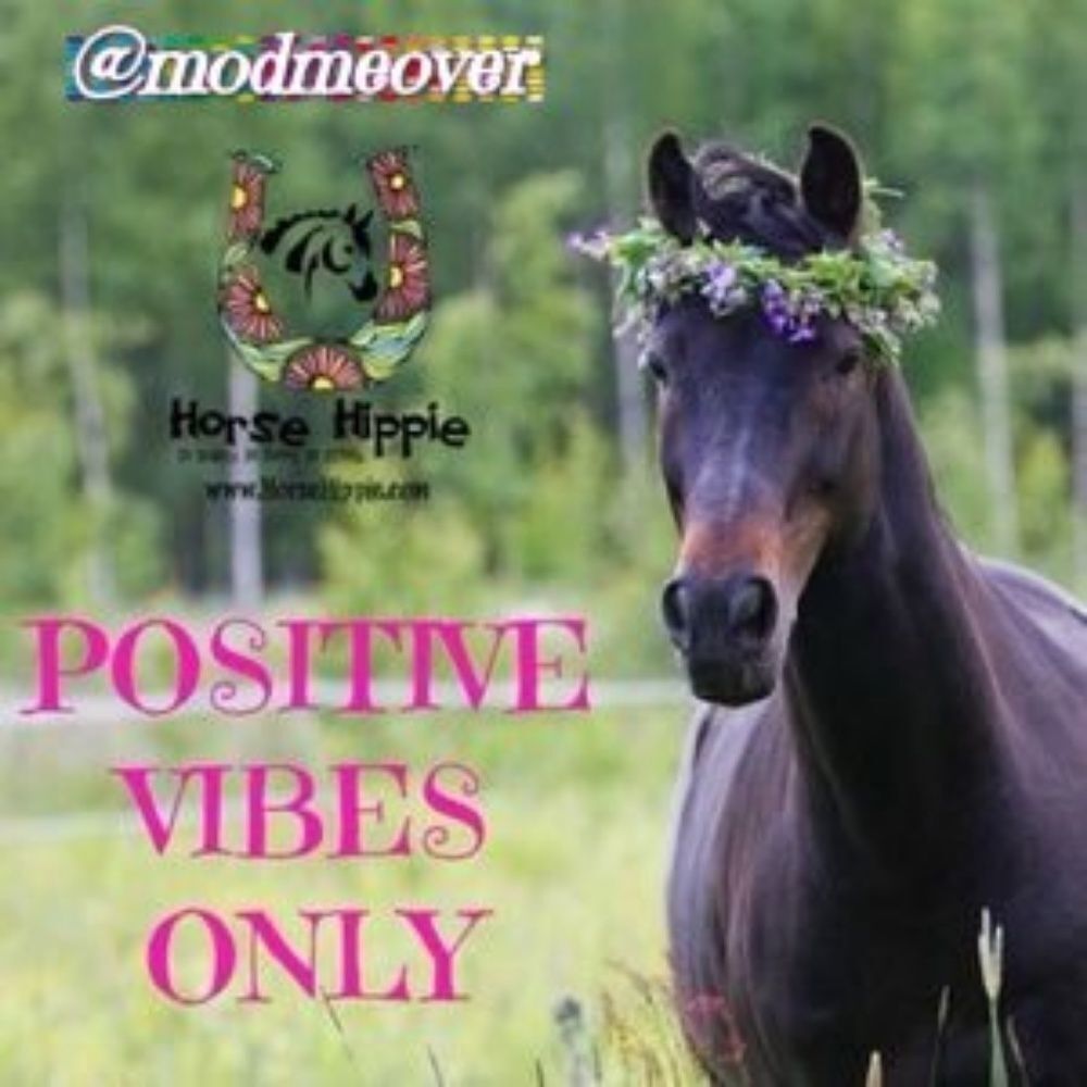 Positive Vibes * Posh Love * Strong Tribe